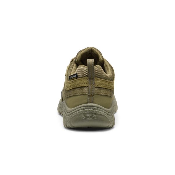 Big Kids' Targhee IV Waterproof Hiking Shoe  |  Martini Olive