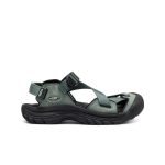 Women's Zerraport II Sandal  |  Dark Forest/Lily Pad