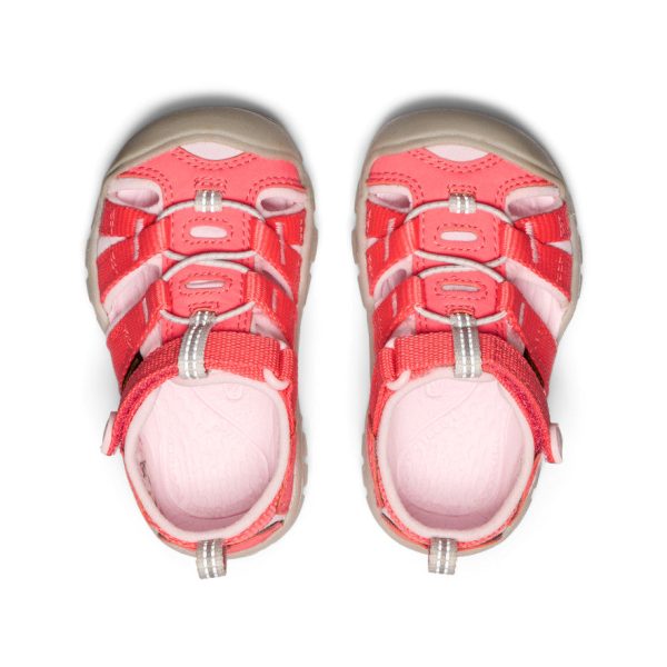 Toddlers' Seacamp II CNX  |  Dubarry/Giggle Pink