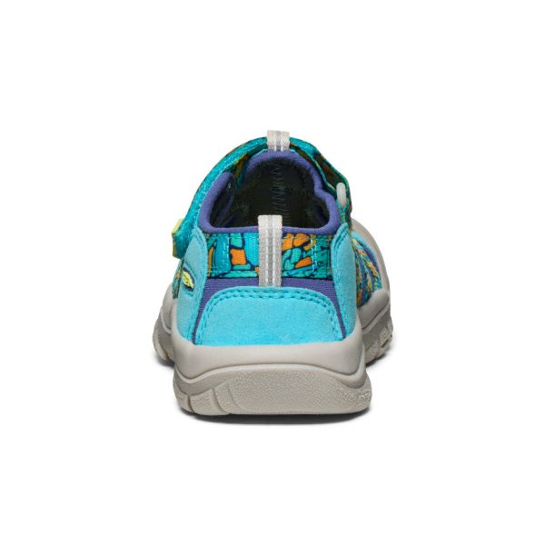 Little Kids' Newport H2  |  Pebble Glow