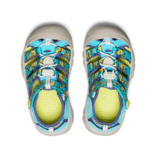 Little Kids' Newport H2  |  Pebble Glow