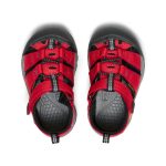 Toddlers' Newport H2  |  Ribbon Red/Gargoyle