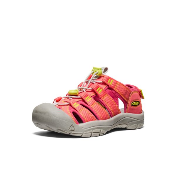 Big Kids' Newport Boundless Sandal  |  Dubarry/Evening Primrose