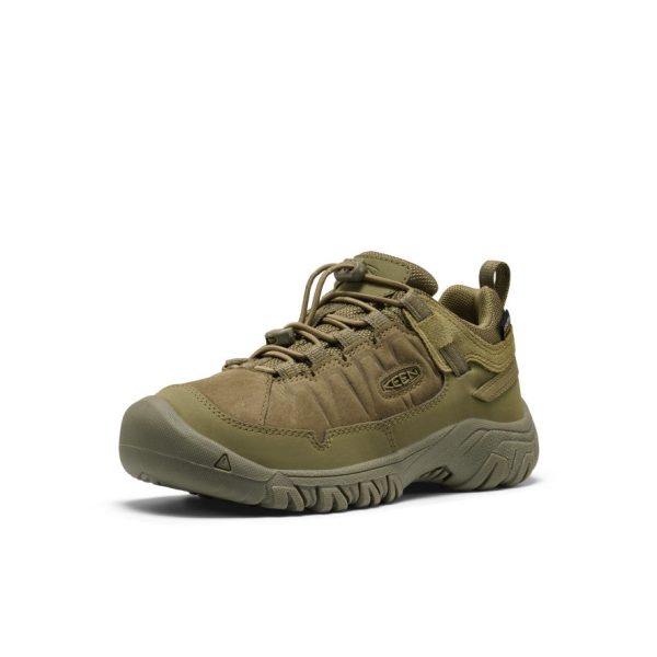 Big Kids' Targhee IV Waterproof Hiking Shoe  |  Martini Olive