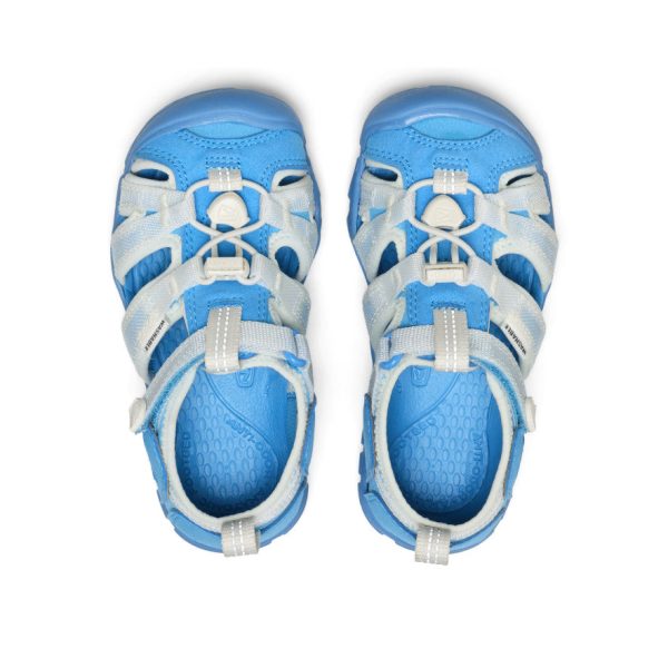 Little Kids' Seacamp II CNX  |  Azure Blue/Star White