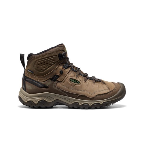 Men's Targhee IV Waterproof Hiking Boot  |  Brindle/Canteen