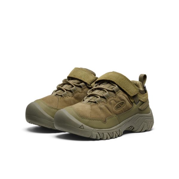 Little Kids' Targhee IV Waterproof Hiking Shoe  |  Martini Olive