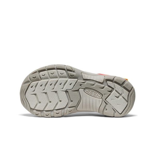 Big Kids' Newport Boundless Sandal  |  Dubarry/Evening Primrose