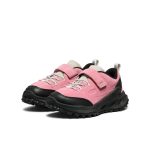 Little Kid's Jasper Zionic Sneaker  |  Cashmere Rose/Giggle Pink