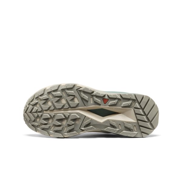 Women's Targhee Apex Waterproof Hiking Shoe  |  Abbey Stone/Birch