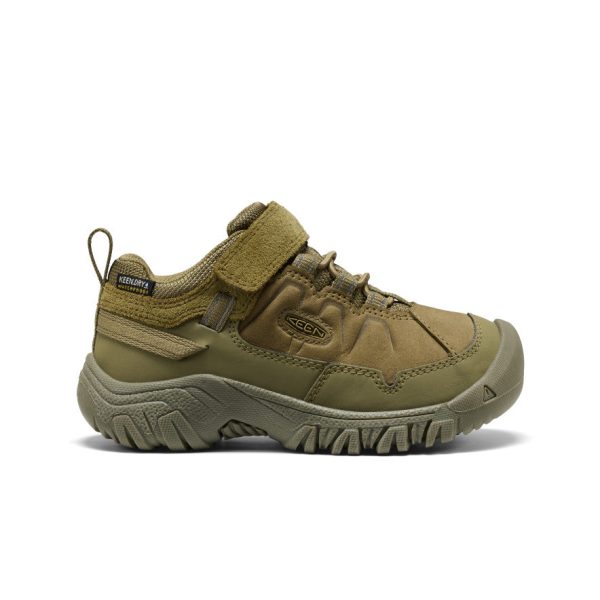 Little Kids' Targhee IV Waterproof Hiking Shoe  |  Martini Olive