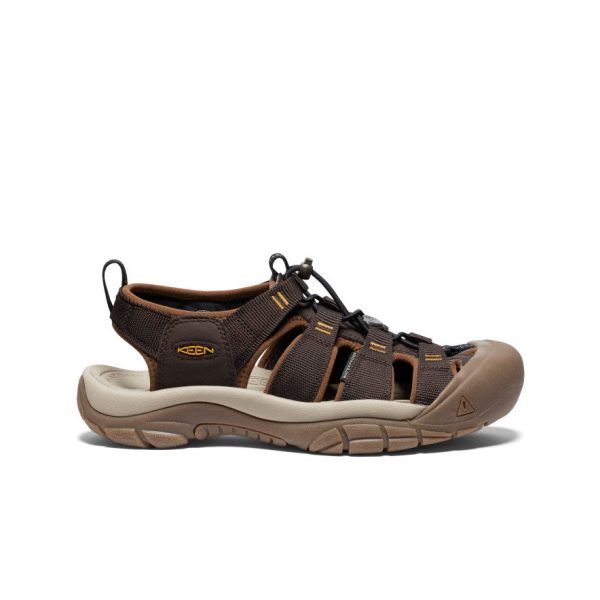 Men's Newport H2 Sandal  |  Java/Golden Yellow