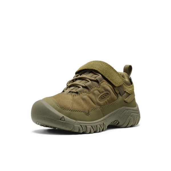 Little Kids' Targhee IV Waterproof Hiking Shoe  |  Martini Olive