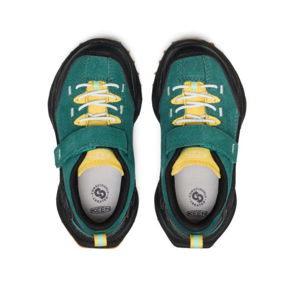 Little Kid's Jasper Zionic Sneaker  |  Mediterranea/Cabbage