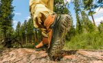 Men's Targhee IV Waterproof Hiking Boot  |  Coyote/Gold Flame