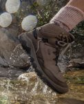 Women's Targhee IV Waterproof Hiking Boot  |  Bison/Beaujolais
