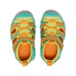 Toddlers' Hyperport H2 Sandal  |  Destination Pack