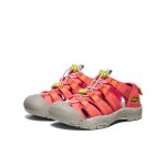 Big Kids' Newport Boundless Sandal  |  Dubarry/Evening Primrose