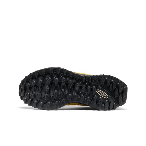 Men's Jasper Zionic Sneaker | Lemon Curry/Naval Academy