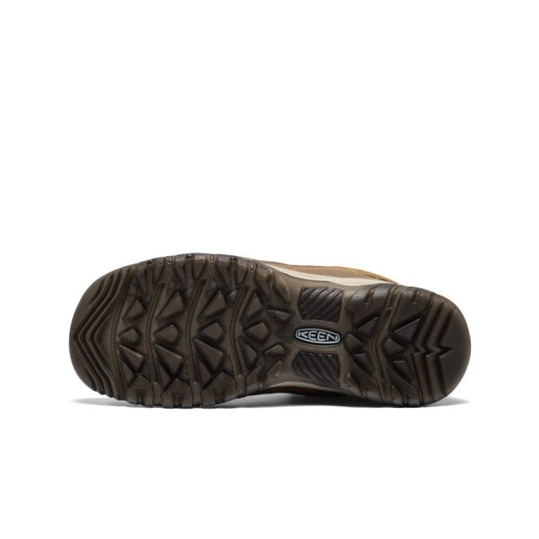 Men's Targhee IV Waterproof Hiking Boot  |  Coyote/Gold Flame
