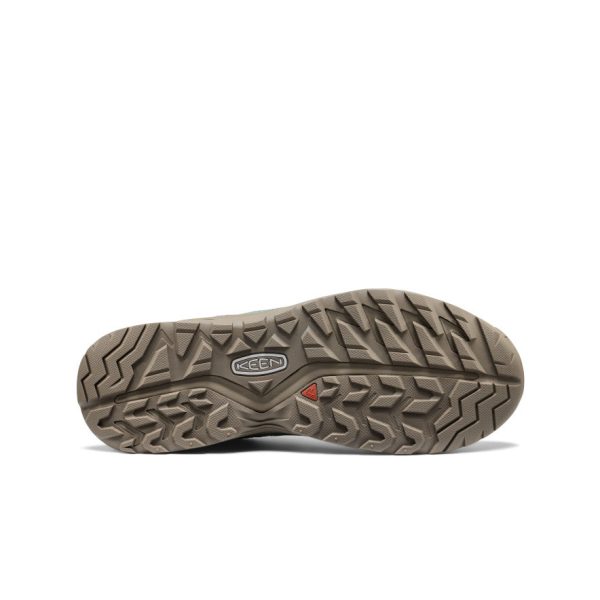 Men's Hightrail EXP Waterproof  |  Lily Pad/Birch