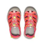 Big Kids' Newport Boundless Sandal  |  Dubarry/Evening Primrose